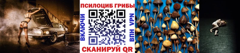 Галлюциногенные грибы прущие грибы Тайшет