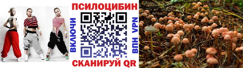 Купить где  Тайшет  Галлюциногенные грибы ЛСД 